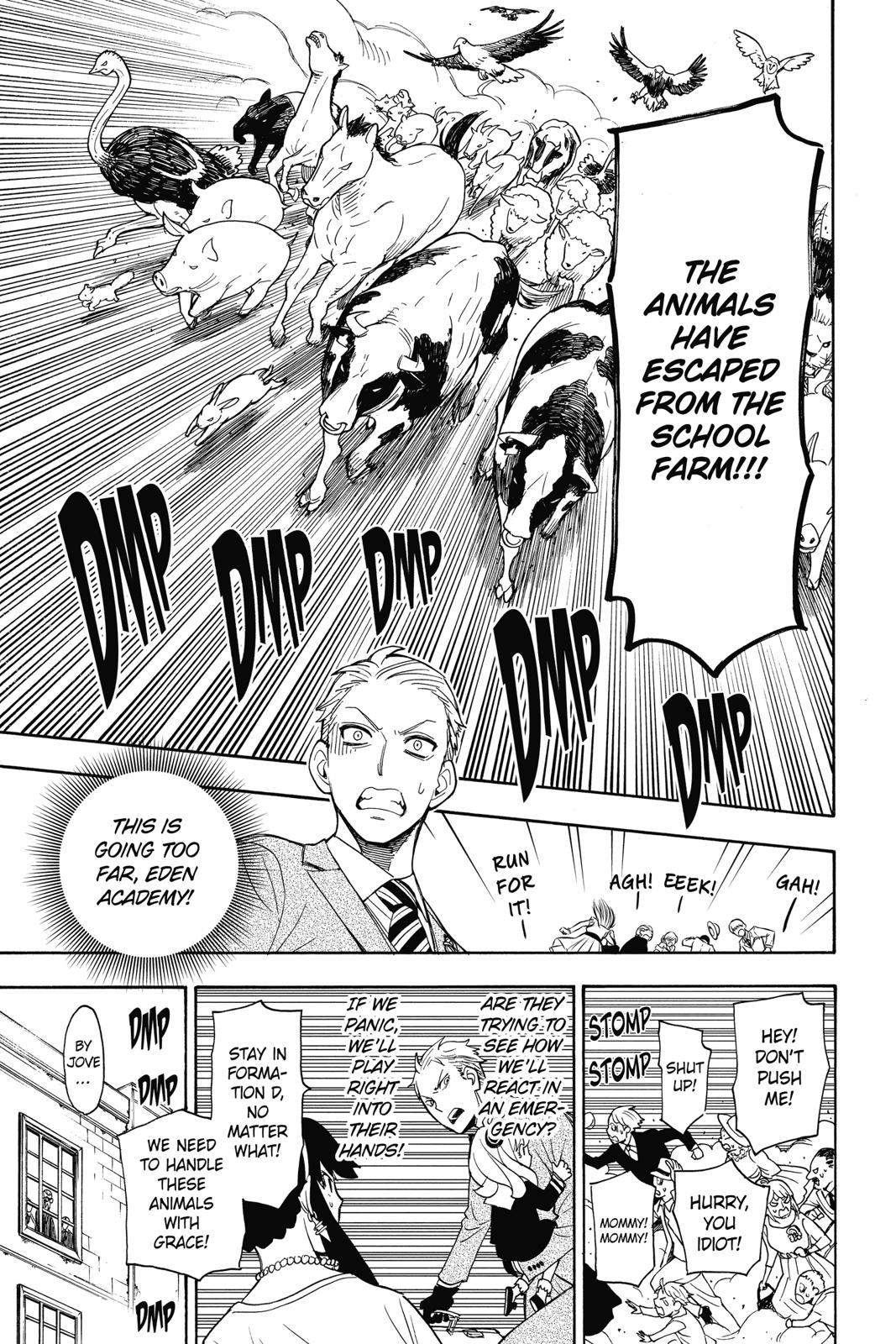 Spy x Family, Chapter 4 image read online 016