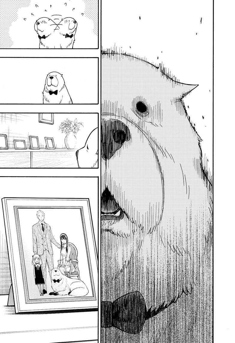 Spy x Family, Chapter 40 image read online 004