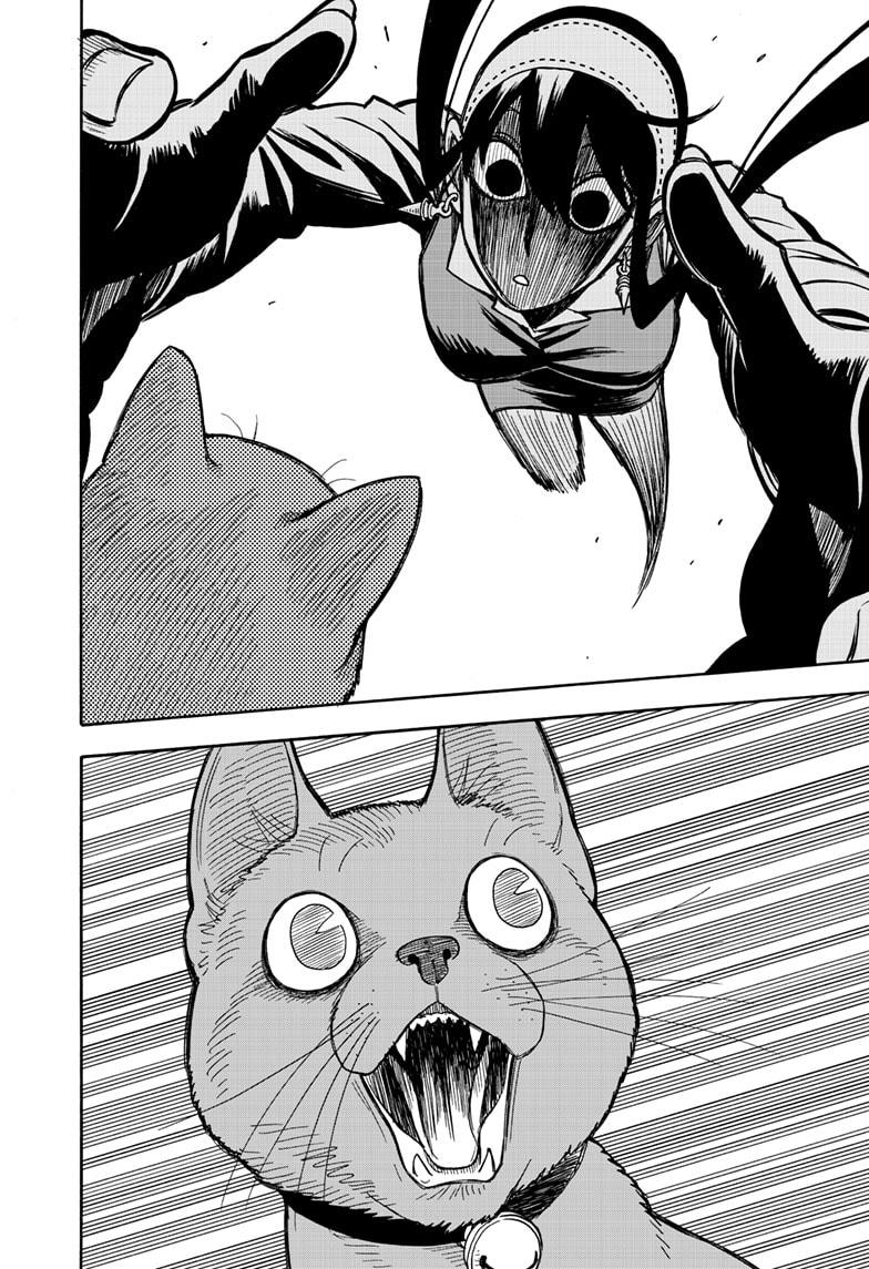 Spy x Family, Chapter 43 image read online 016