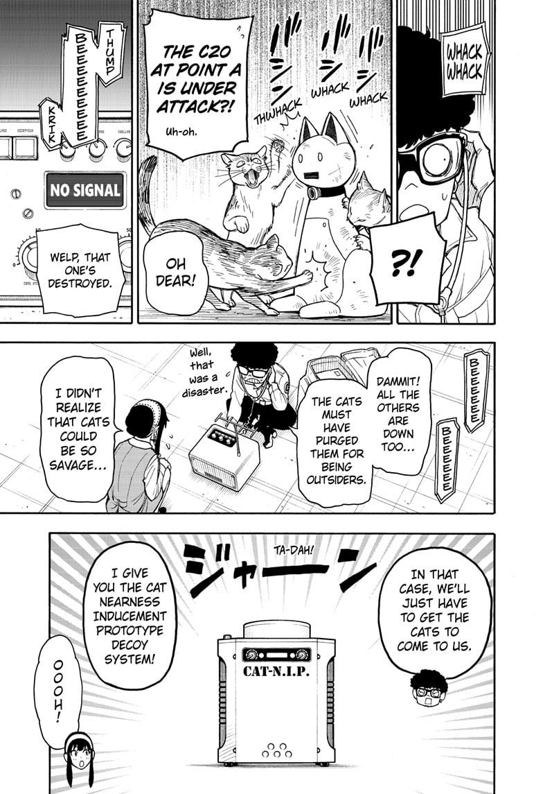 Spy x Family, Chapter 43 image read online 009