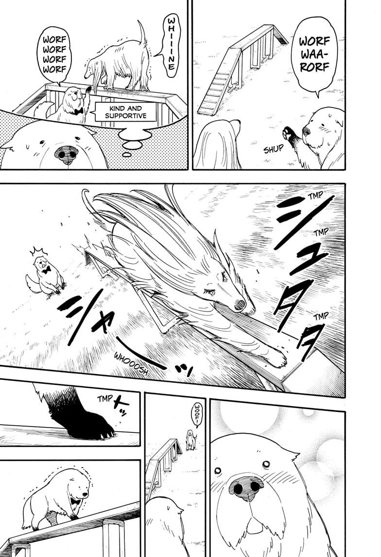 Spy x Family, chapter 62.5 image read online 007